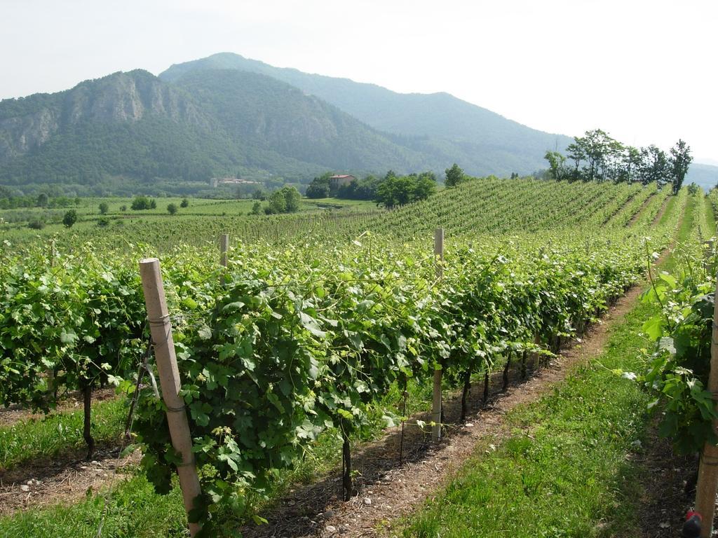 B&B Aria Di Lago 파라티코 외부 사진