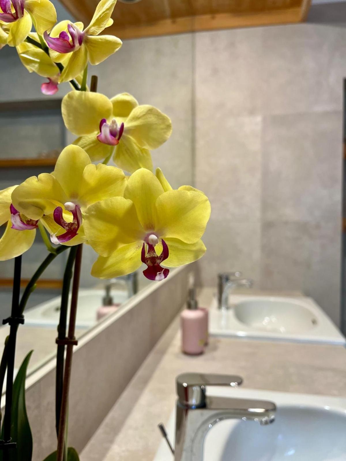 B&B Aria Di Lago 파라티코 외부 사진